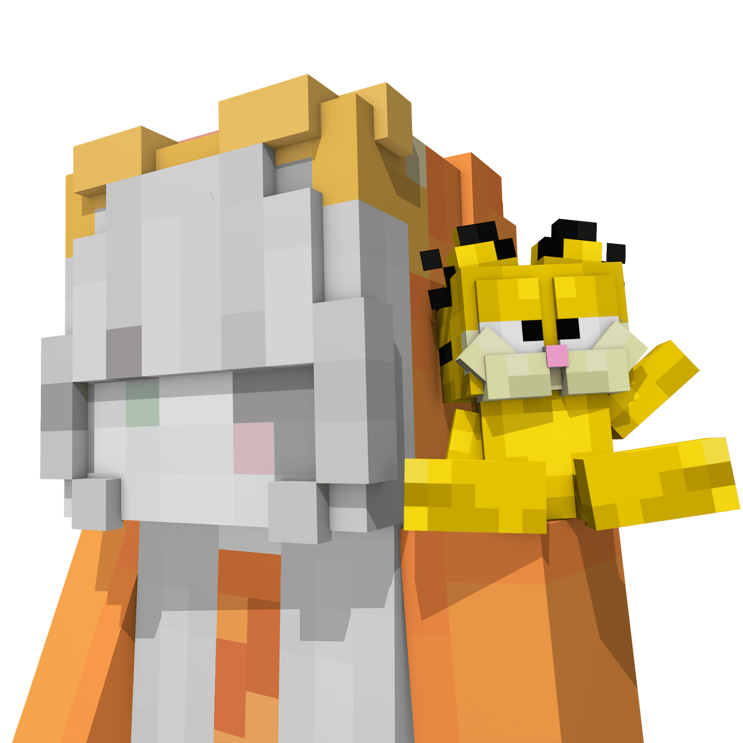 NQRMANs Cat