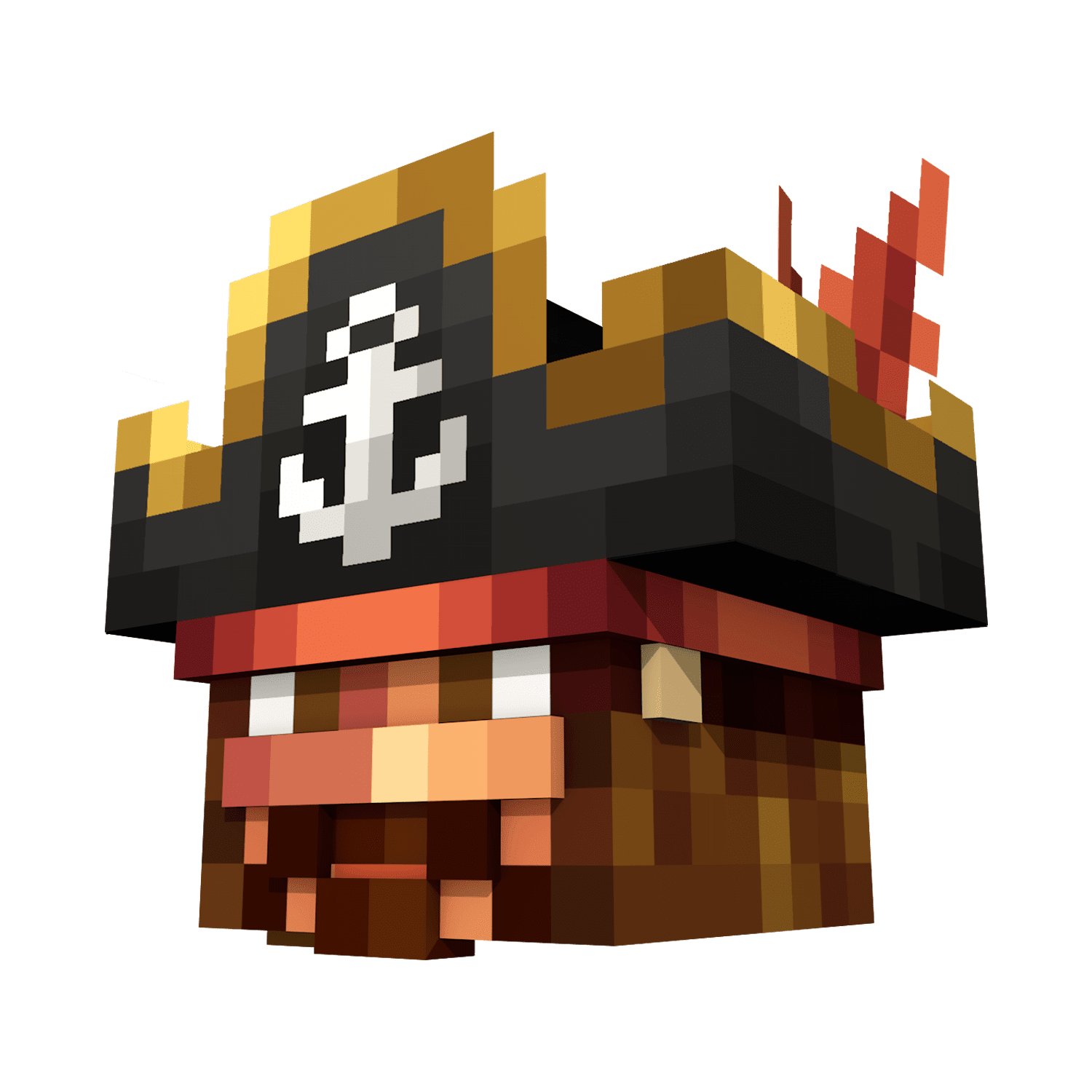 Pirate Hat