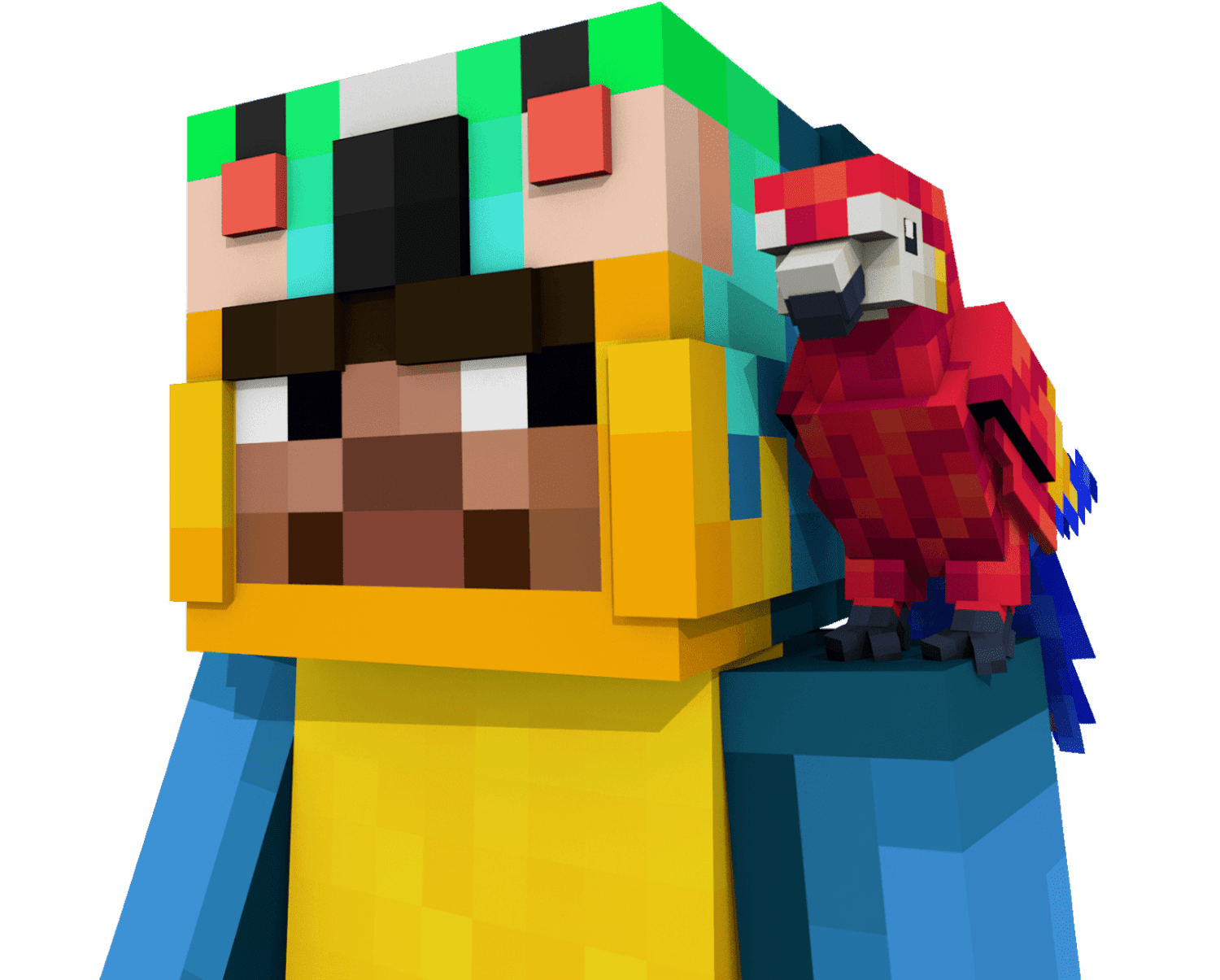 Pirates Parrot